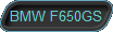  BMW F650GS 